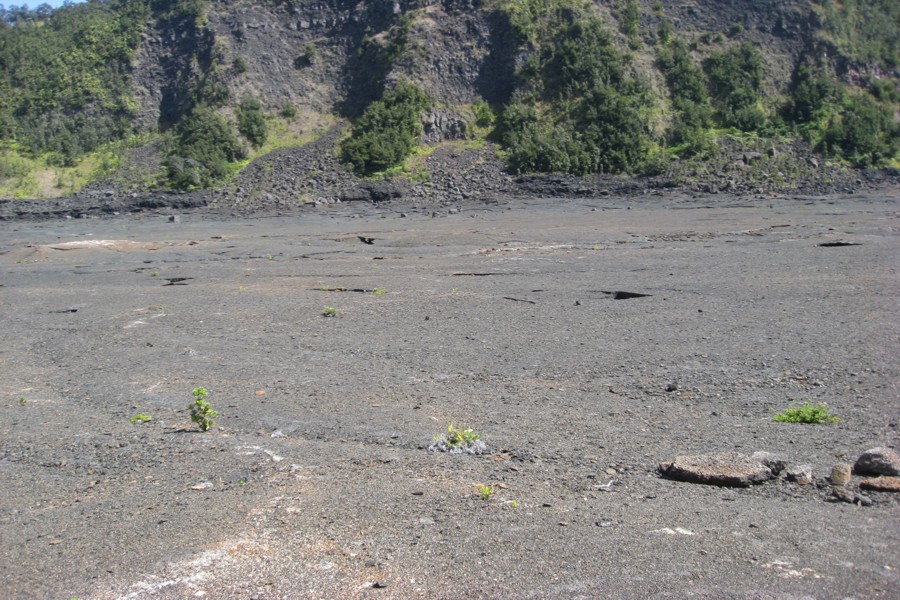 ../image/volcano - kilauea iki trail 15.jpg